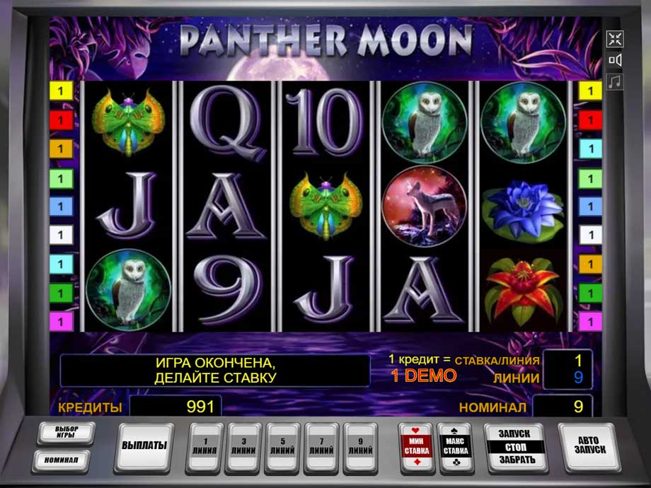 Panther Moon